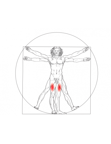 Znak STRZELEC  Kwas krzemowy 100 g
