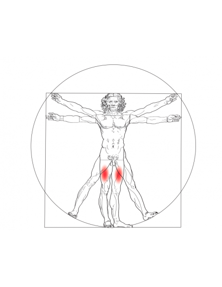 Znak STRZELEC  Kwas krzemowy 100 g