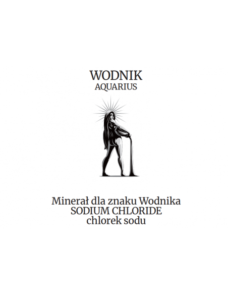 Znak WODNIK Chlorek sodu 100 g