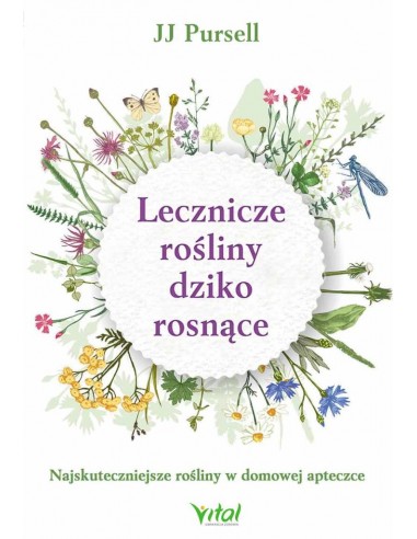 Lecznicze rośliny dziko rosnące