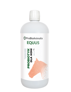 Probiotyk dla koni 1 L Probiotics