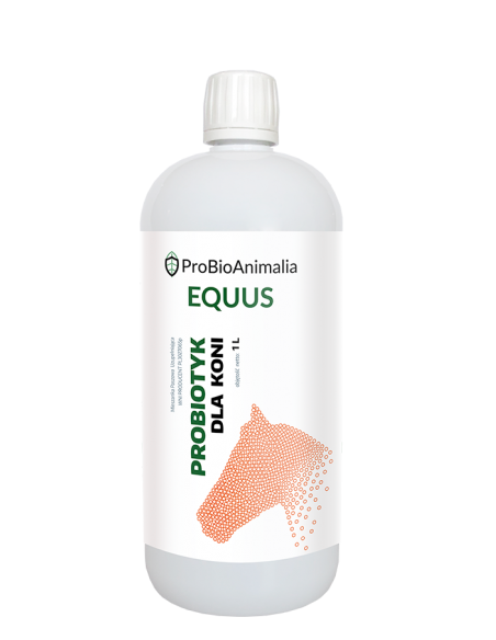 Probiotyk dla koni 1 L Probiotics
