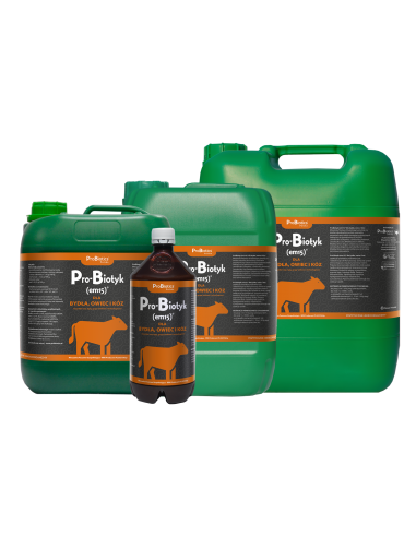 Pro-Biotyk (Em15)  dla bydła 5 L Probiotics