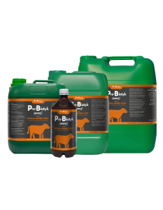 Pro-Biotyk (Em15)  dla bydła 10 L Probiotics 2