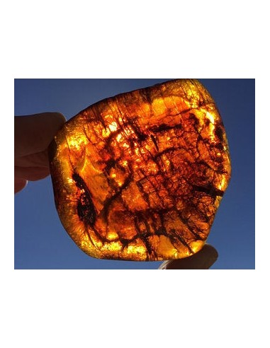 AMBER DUST pył bursztynowy 20 g