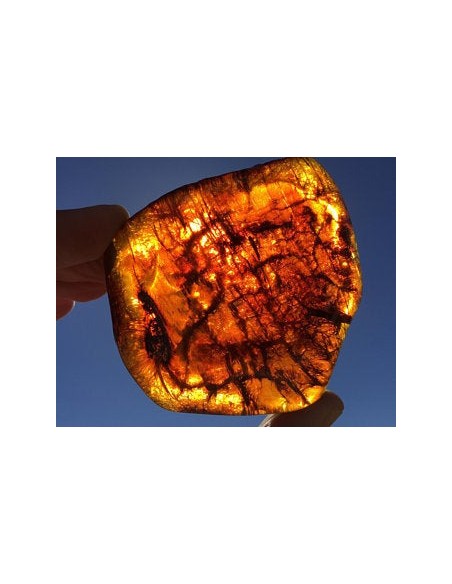 AMBER DUST pył bursztynowy 20 g