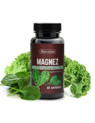 Magnez 4 formy szpinak 60 kaps.Skoczylas