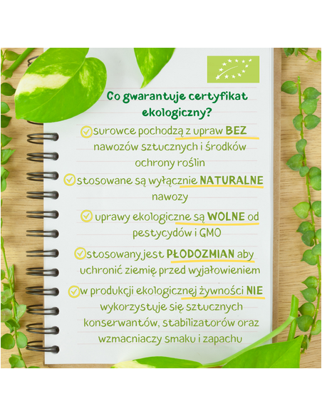 BIO Cukier kokosowy 500 g Coco Farm