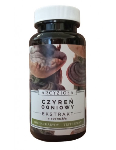 ARCYZIOŁA Czyreń ogniowy 50 g