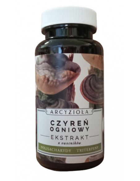 ARCYZIOŁA Czyreń ogniowy 50 g