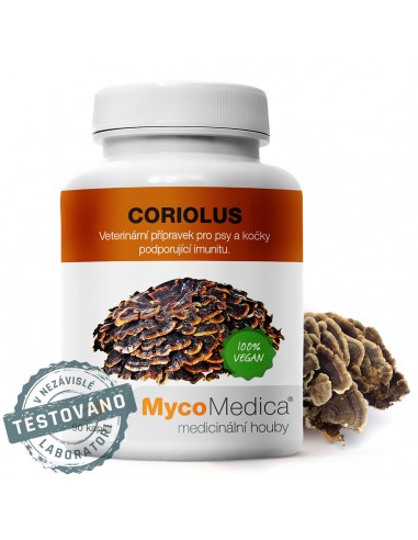 Wrośniak różnobarwny 90 kaps. MycoMedica