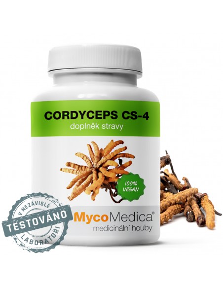 Cordyceps PS4 90 kaps. MycoMedica