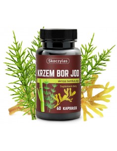 Krzem Bor Jod 60 kaps. Skoczylas