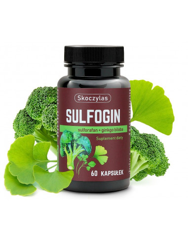 SULFOGIN -  sulforafan + ginkgo biloba  - 60 kaps. Skoczylas