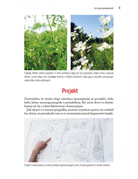 Permakultura w ogrodzie - miesiąc po miesiącu - Damien Dekarz