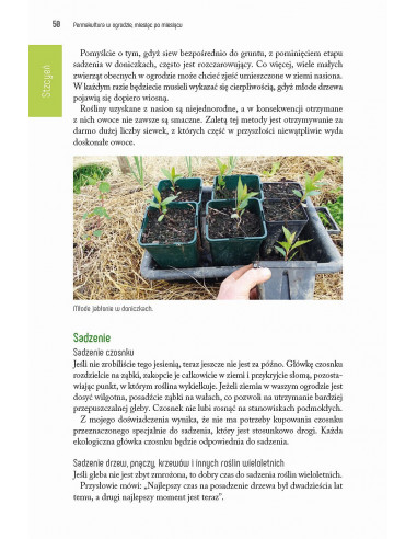 Permakultura w ogrodzie - miesiąc po miesiącu - Damien Dekarz