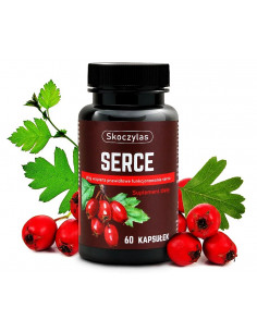 Serce - głóg wspiera prawidłowe funkcjonowanie serca - 60 kaps. Skoczylas 2
