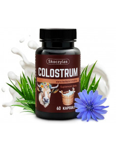 Colostrum - siara kozia z pigwą - 60 kaps. - Skoczylas 2