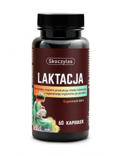 Laktacja 60 kaps.Skoczylas 2