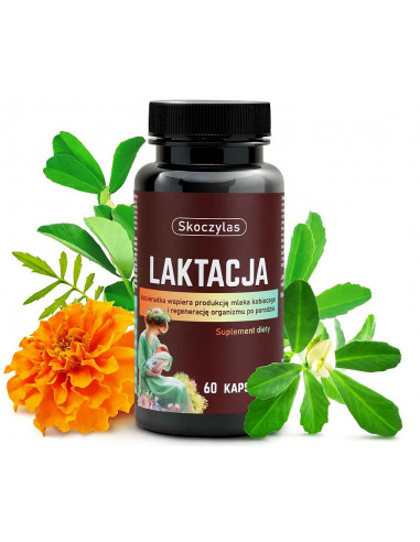 Laktacja 60 kaps.Skoczylas