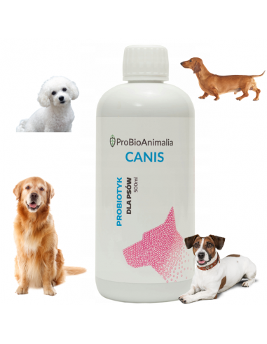 Probiotyk CANIS 500 ml Probiotics