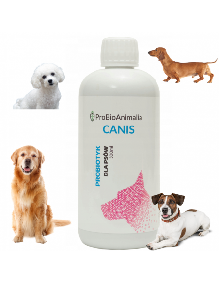 Probiotyk CANIS 500 ml Probiotics
