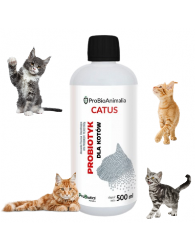 Probiotyk dla kotów 500 ml
