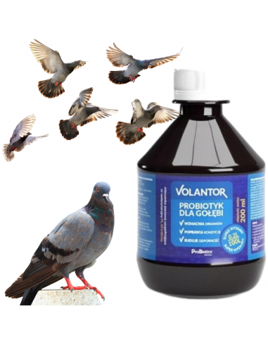 VOLANTOR Probiotyk 200 ml  Probiotics