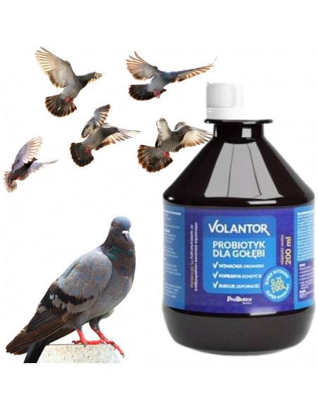 VOLANTOR Probiotyk 200 ml  Probiotics