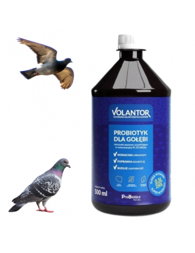 VOLANTOR Probiotyk 500 ml  Probiotics