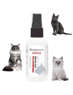 Probiotyk dla kotów 75 ml