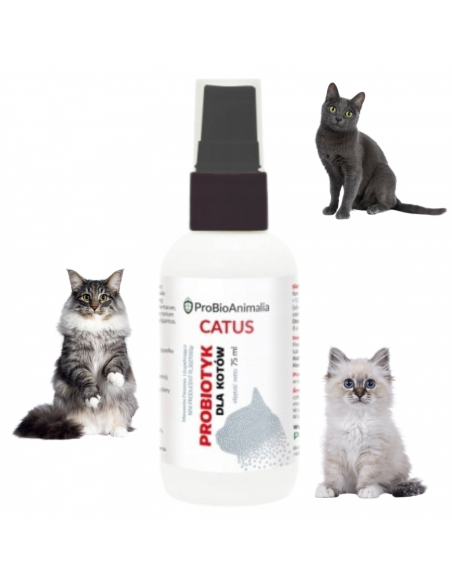 Probiotyk dla kotów 75 ml
