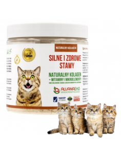 Naturalny kolagen dla kotów 300 g Alvanaeko