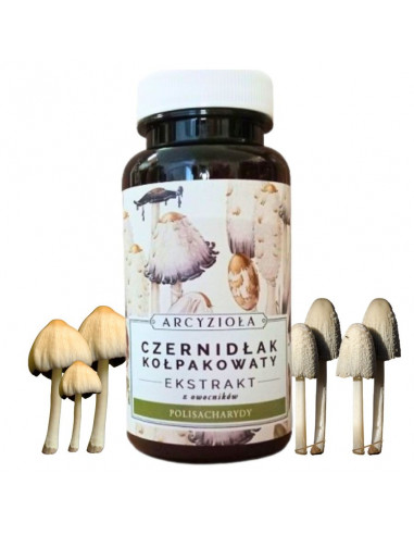 ARCYZIOŁA Czernidłak 50 g