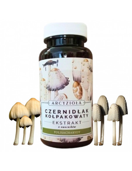 ARCYZIOŁA Czernidłak 50 g