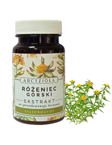 ARCYZIOŁA Różeniec górski 15 g