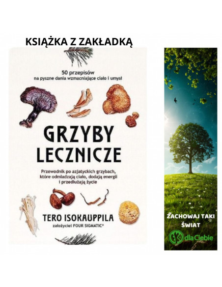 Grzyby lecznicze