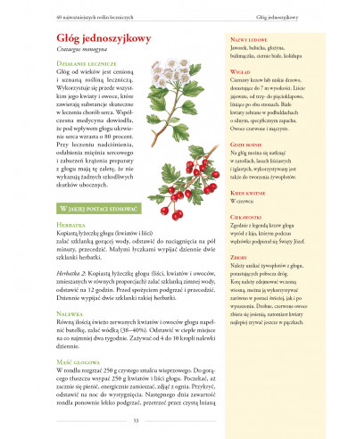 Moje rośliny lecznicze - Maria Treben