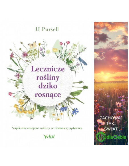 Lecznicze rośliny dziko rosnące