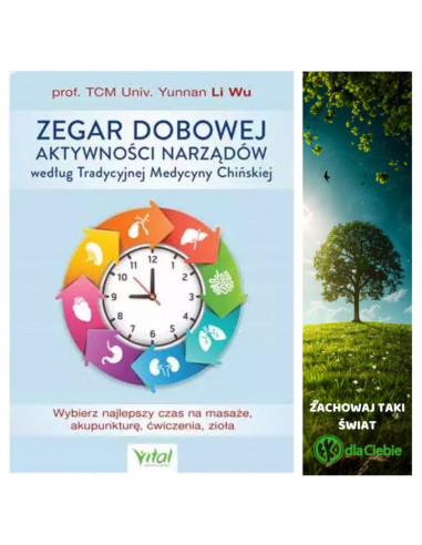 Zegar dobowej aktywności narządów