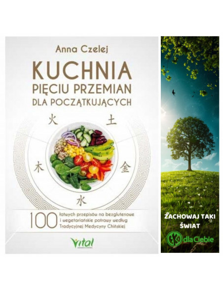 KUCHNIA PIĘCIU PRZEMIAN