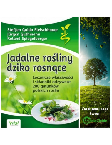 Jadalne rośliny dziko rosnące