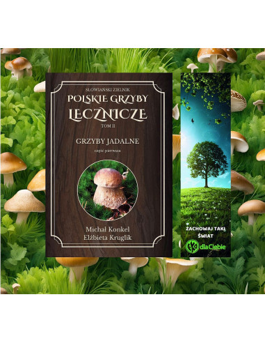 Polskie Grzyby Lecznicze - grzyby jadalne - Tom II