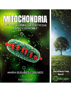 Mitochondria - Aktywuj centra energetyczne swoich komórek