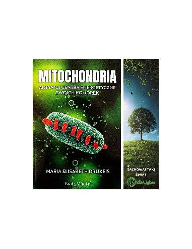 Mitochondria - Aktywuj centra energetyczne swoich komórek