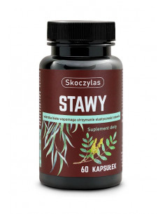 Stawy - kadzidłowiec, wierzba, ashwagandha, sosna - 60 kaps. Skoczylas
