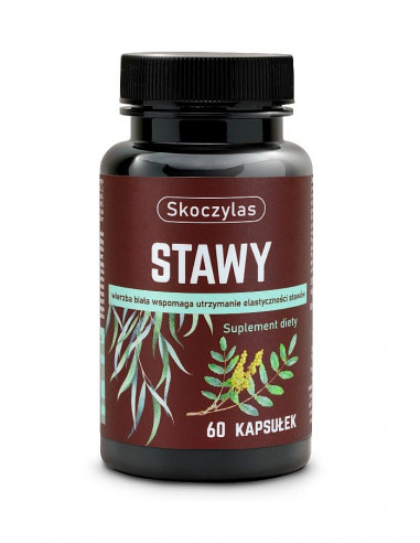 Stawy - kadzidłowiec, wierzba, ashwagandha, sosna - 60 kaps. Skoczylas