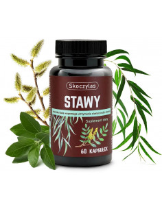 Stawy - kadzidłowiec, wierzba, ashwagandha, sosna - 60 kaps. Skoczylas 2