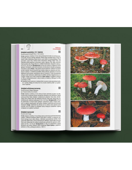 Grzyby - Wielki przewodnik Molpharma