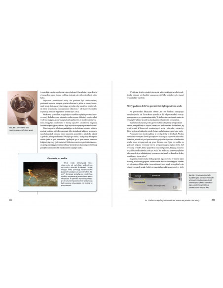 Czwarty stan skupienia wody